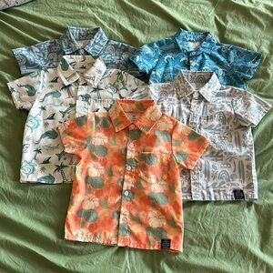 (5) The Little Surfer Dude Shirts